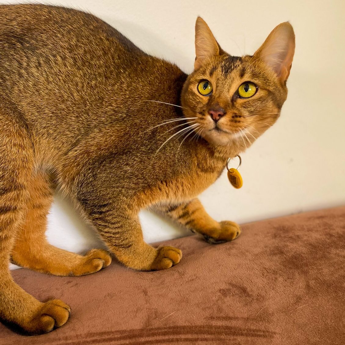 f30afa2c-7332-455f-84d2-02d39ea25d43