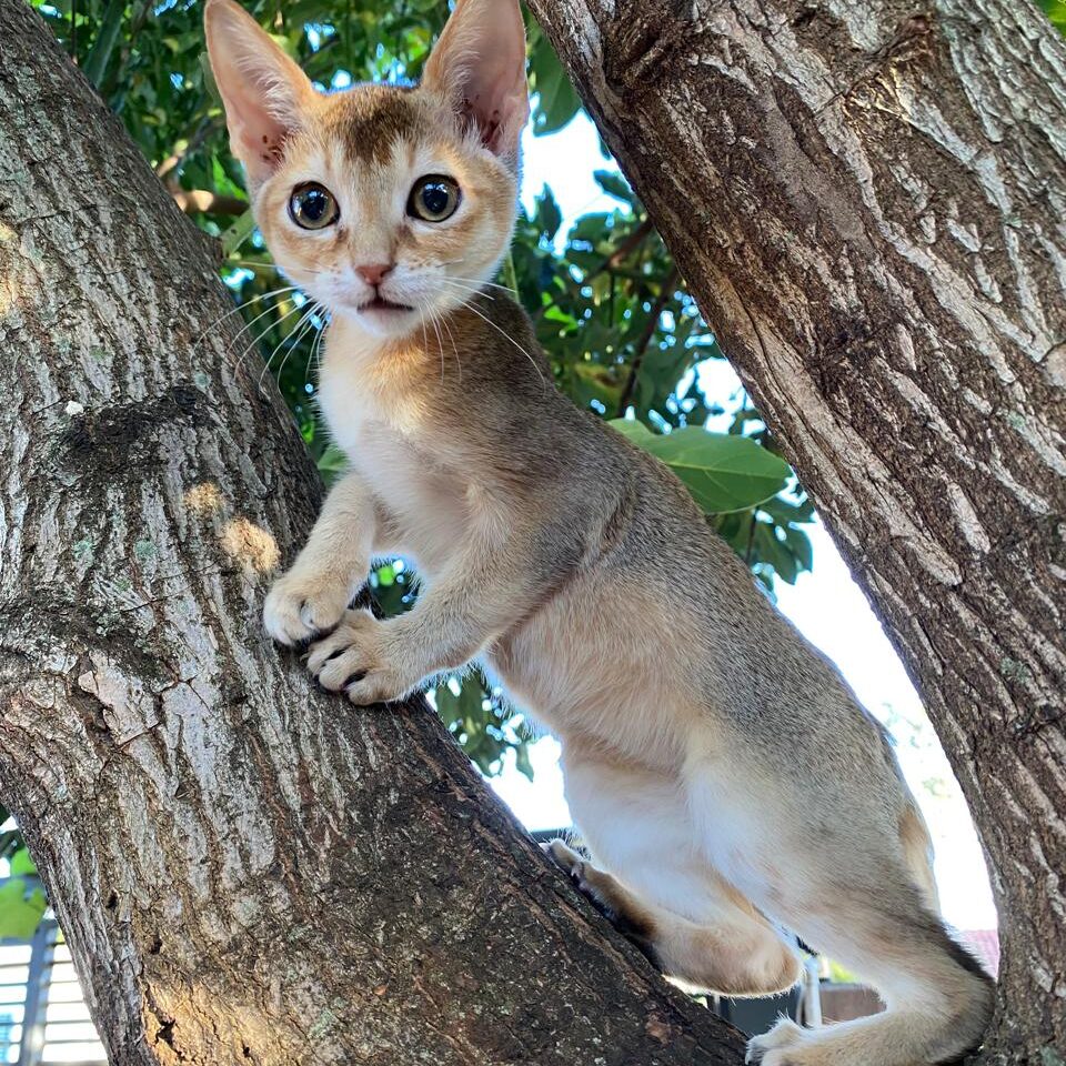 f364d6bd-b66a-40c9-a4e7-4dfd382b5d4e