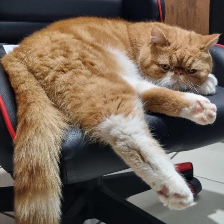 f3afcf77-94f7-4188-add5-56228012c96e