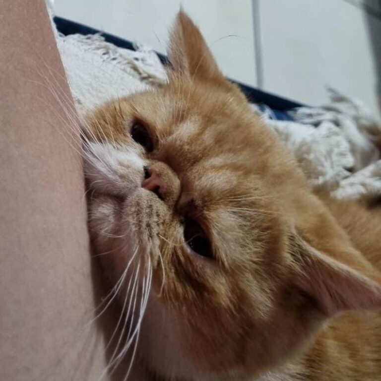 f5b67137-a82c-4ef1-9f75-4724e747288f