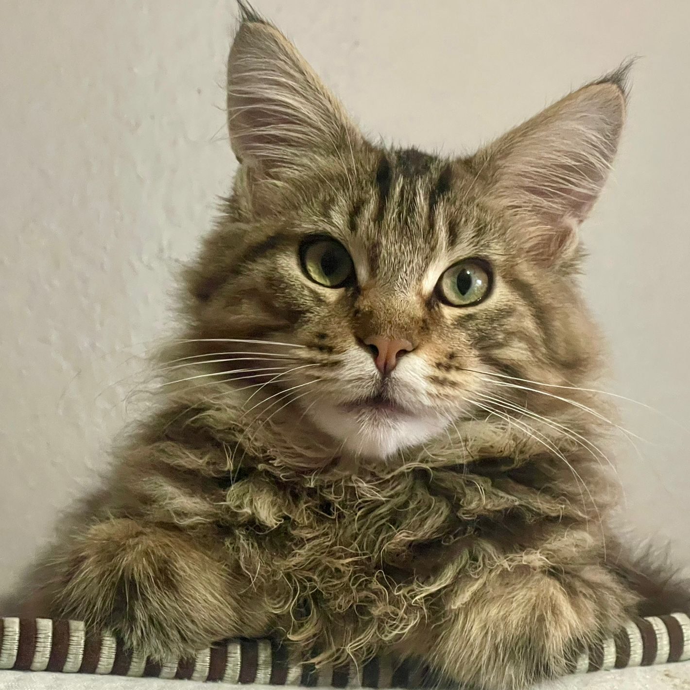 f70311dc-12fe-422a-979f-dfbcbf69513d